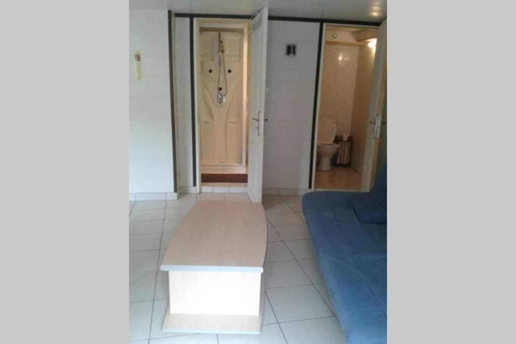Cure Thermale Ou D'ete Au Dore Appartement Le Mont-Dore